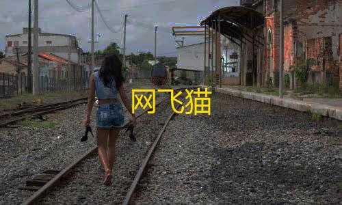 微商软件自动发货商城网飞猫